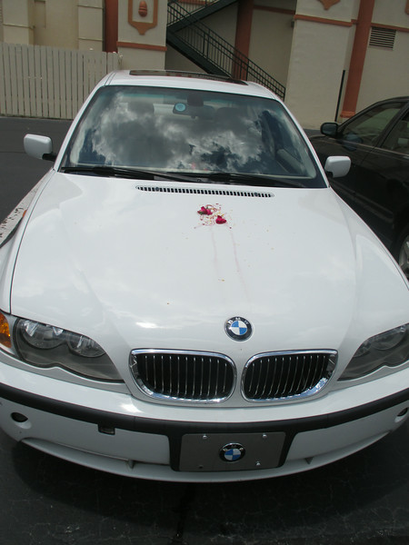 "                               "