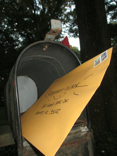 "                               "