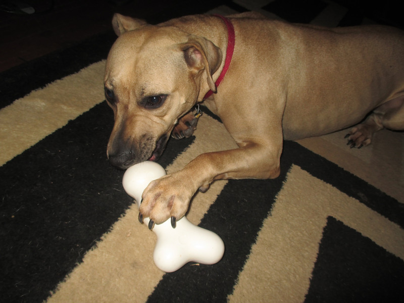 "                               "