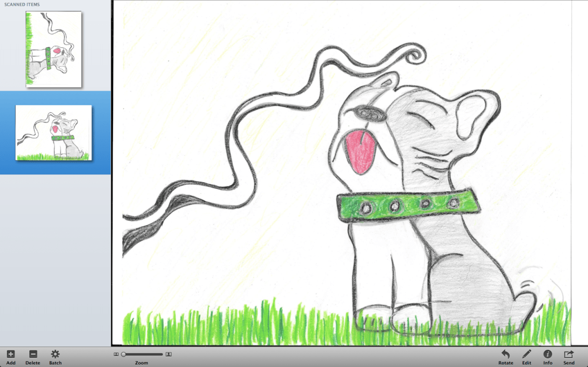 Screen Shot 2014-06-01 at 12.32.44 PM