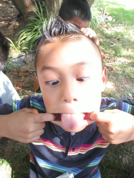 "                               "