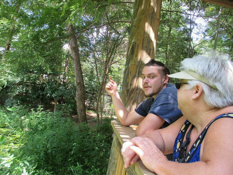 "                               "