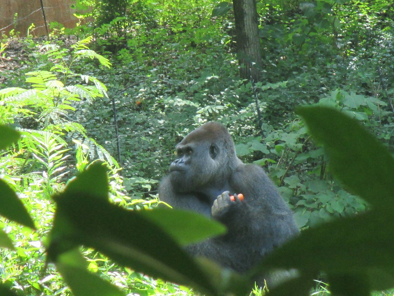 "                               "