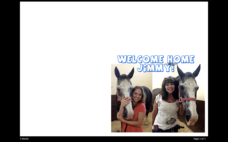 Screen Shot 2014-08-04 at 9.26.50 AM-L