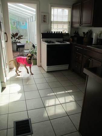 "                               "