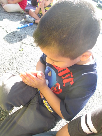 "                               "