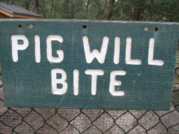 "                               "