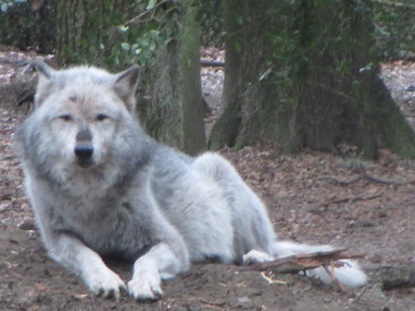 "                               "