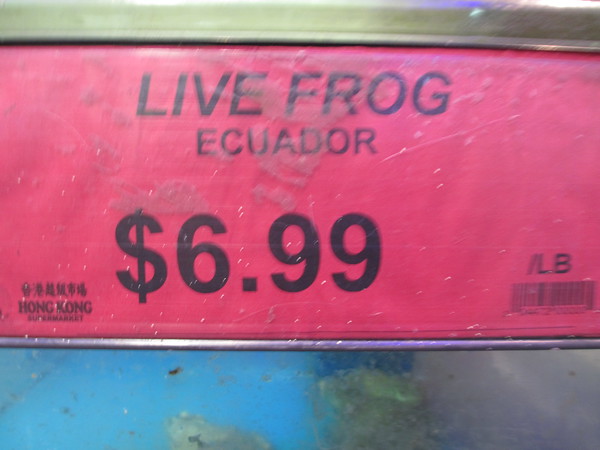 "                               "