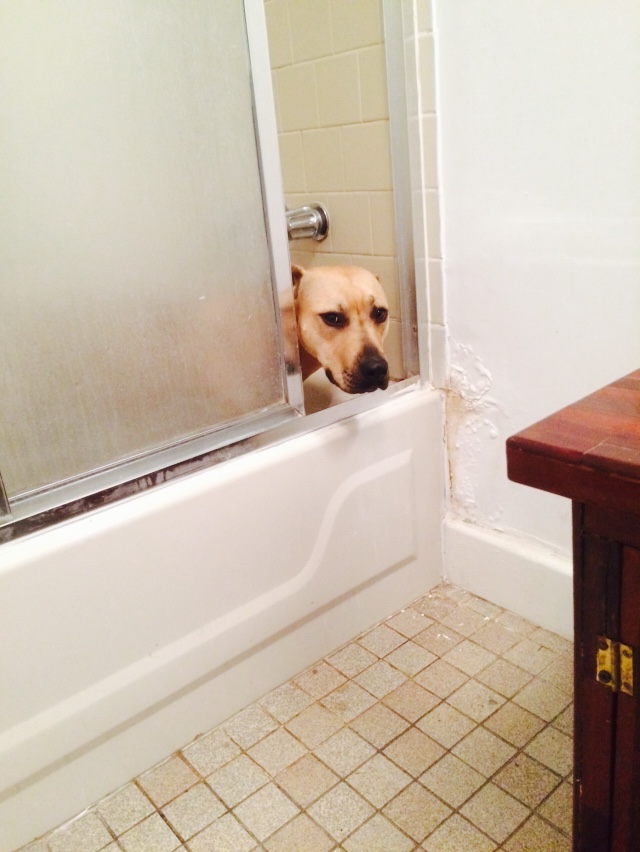 SubstandardFullSizeRender