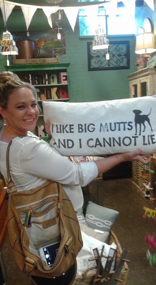 11222954_1479181162399705_8125059794942893564_n